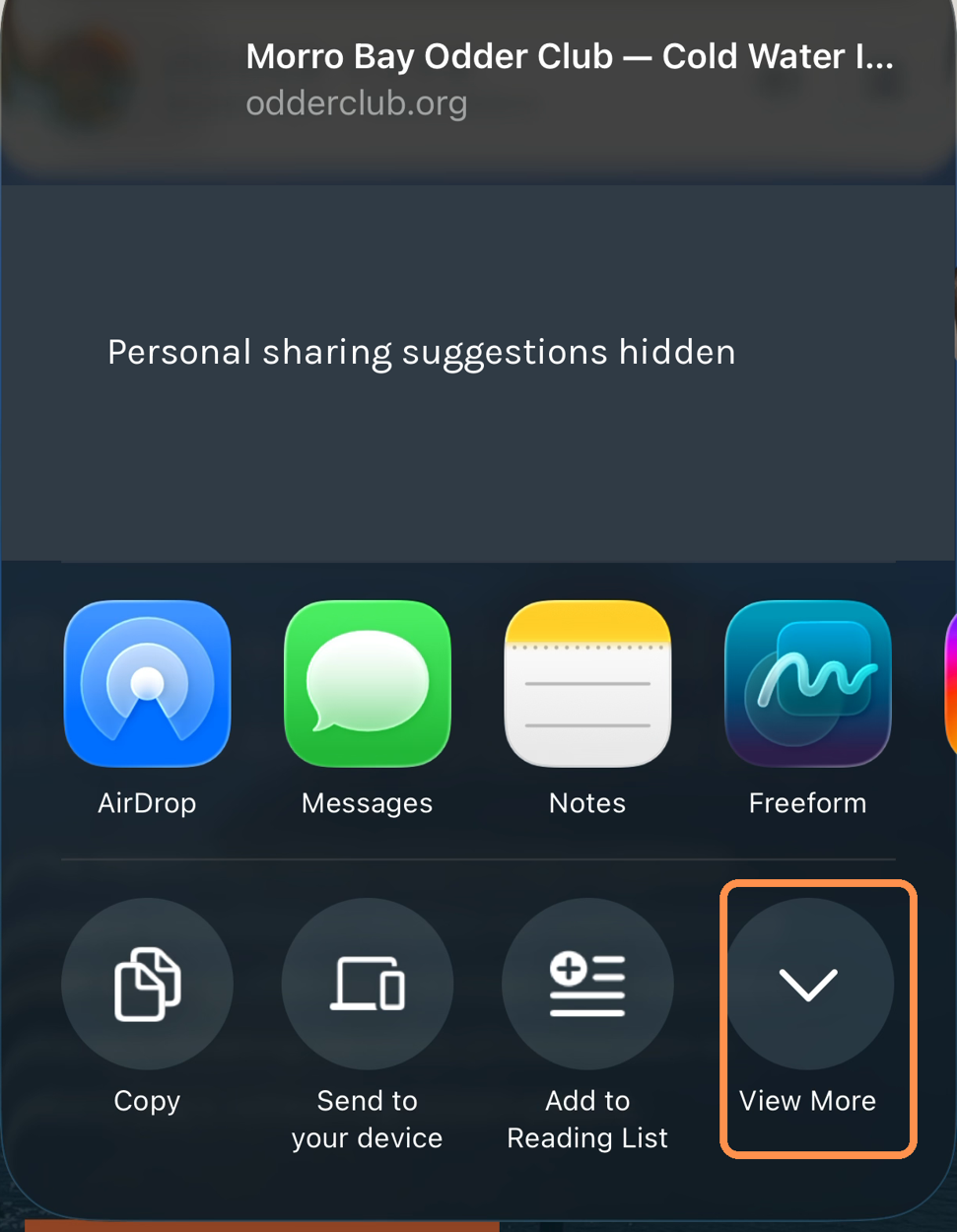 iPhone Share menu with personal suggestions hidden and View More outlined in orange.