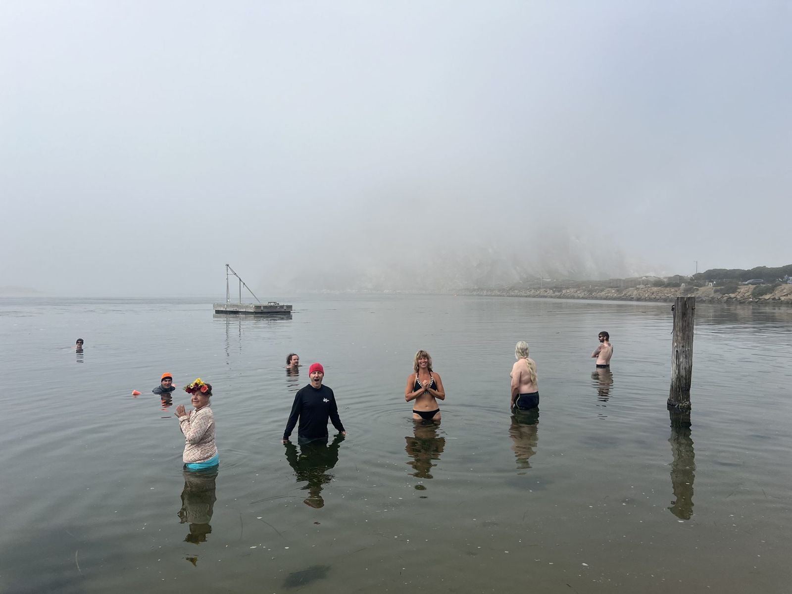 A line of odders standing waist deep in the calm water on a foggy morning