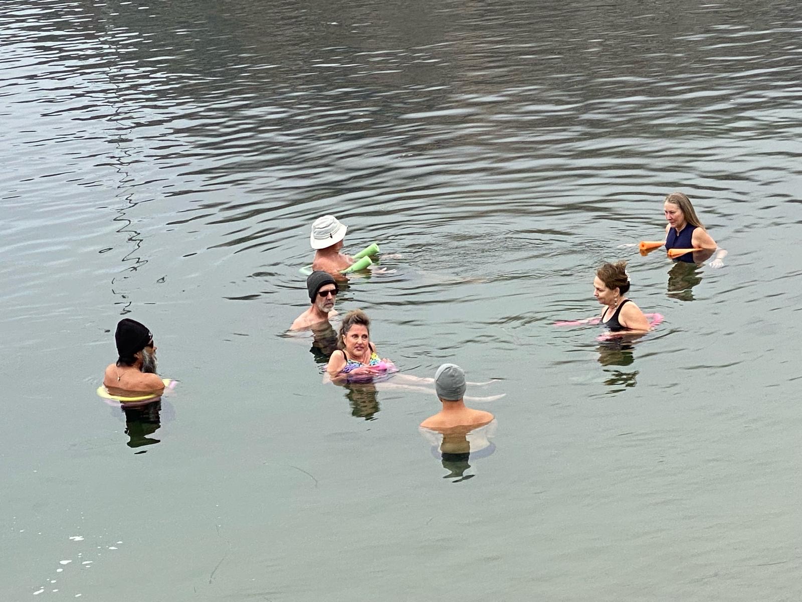 Six odders floating together in calm grey water