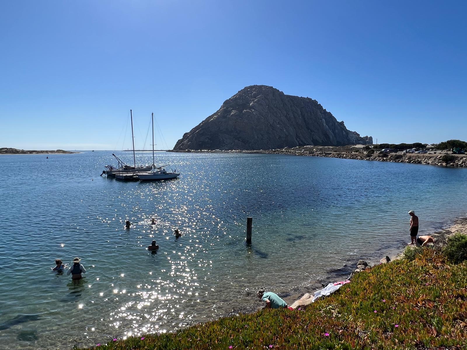 Odders wading in the clear shallows of Morro Bay on a bright blue day with Morro Rock behind the moored sailboats