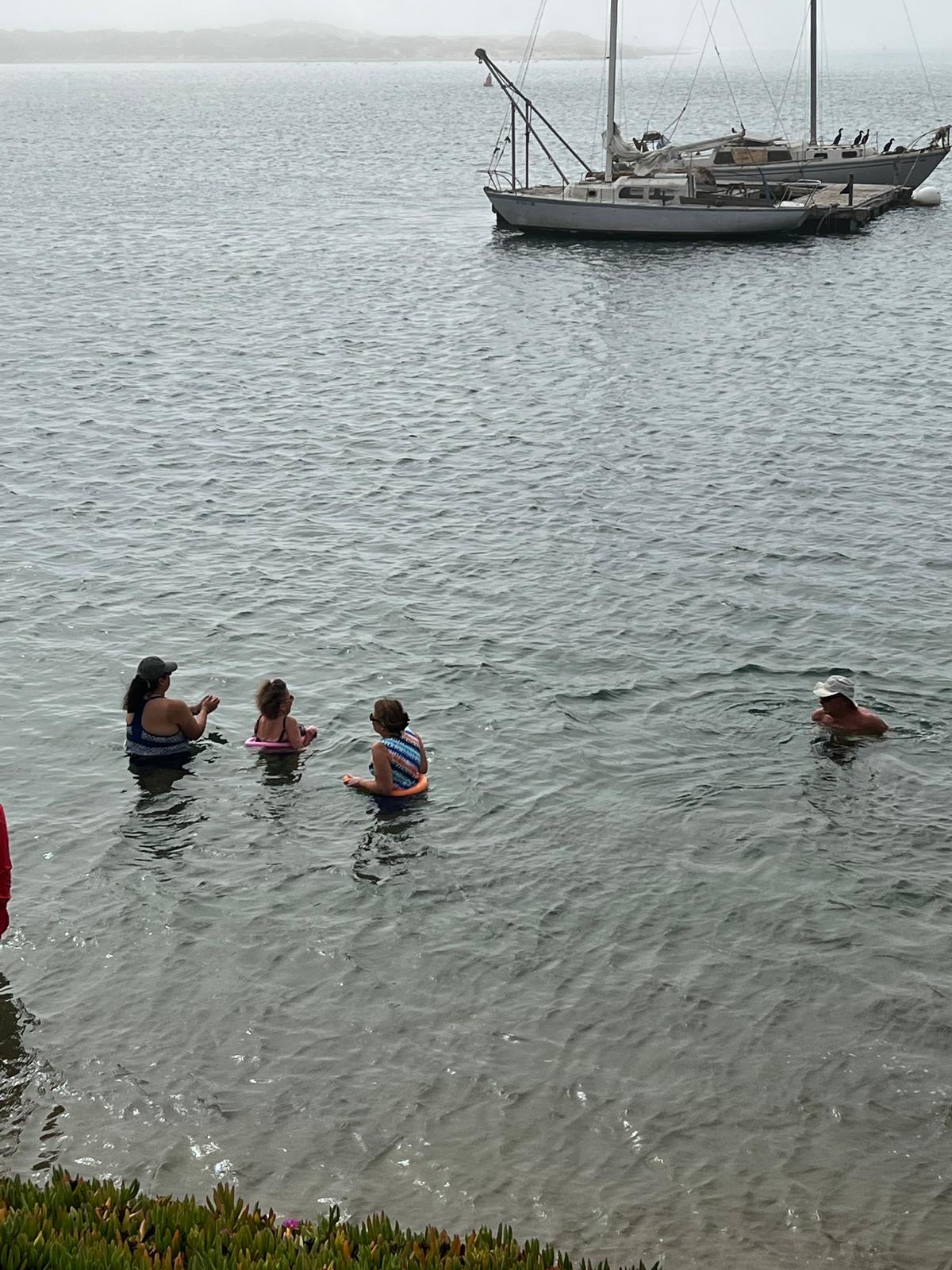 Looking down on four odders floating in a circle with noodles near the pier
